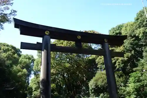 明治神宮(東京都)