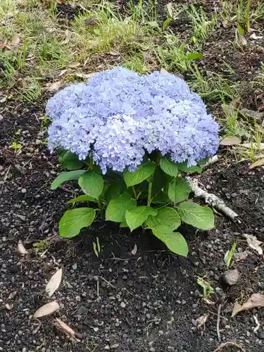鹿島台神社(宮城県)