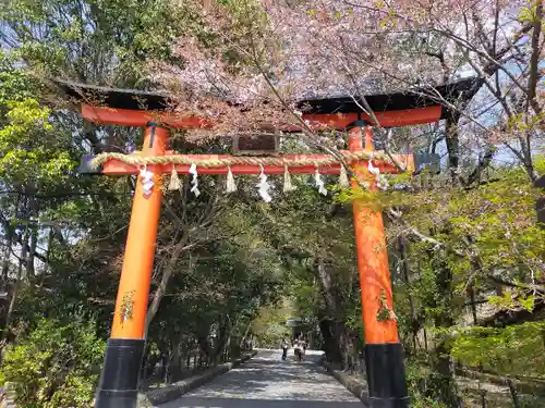 宇治上神社の鳥居