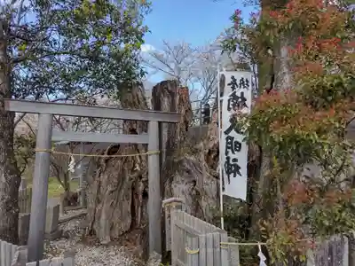 楠大明神(三重県)
