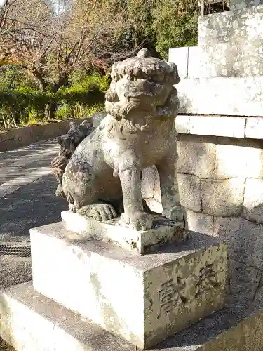 阿智神社の狛犬