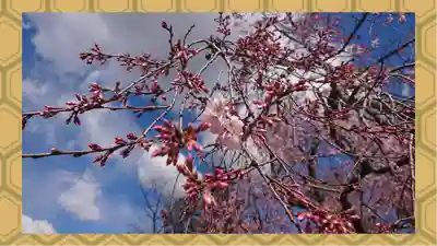 境香取神社(茨城県)