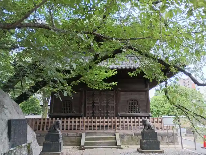 吉祥寺(東京都)