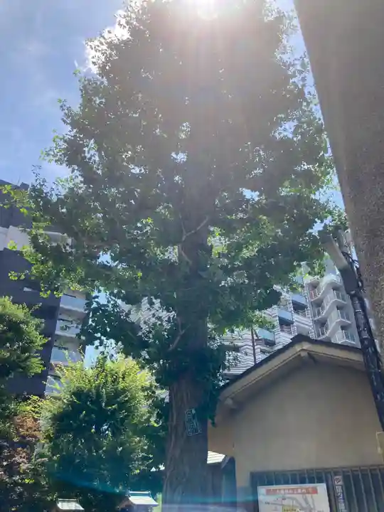 厳嶋神社(東京都)