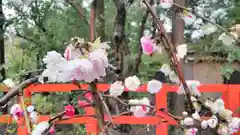 賀茂別雷神社（上賀茂神社）の建物その他