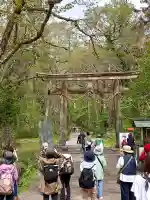 戸隠神社奥社の{uncategorized: "未分類", other: "その他", undefined: "問題あり", building: "その他建物", grave: "お墓", sacred_gate: "鳥居", guardian: "狛犬", statue: "像", buddha: "仏像", history: "歴史", nature: "自然", garden: "庭園", animal: "動物", pagoda: "塔", temizu: "手水舎", mountain_gate: "山門・神門", sanctuary: "本殿・本堂", subordinate: "末社・摂社", art: "芸術", scenery: "景色", jizo: "地蔵", ema: "絵馬", goshuin: "御朱印", omikuji: "おみくじ", items: "授与品その他", amulet: "お守り", goshuincho: "御朱印帳", eats: "食事", festival: "お祭り", votive_dance: "神楽", shichigosan: "七五三参", wedding: "結婚式", experience: "体験その他", initially: "初詣", around: "周辺", anti_infection: "感染症対策"}