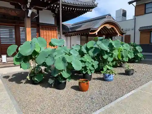上行寺(静岡県)