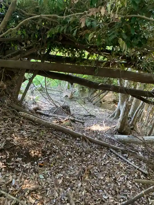 浅間神社(千葉県)