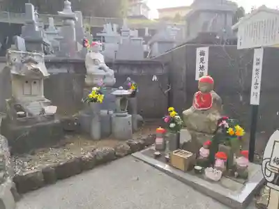 善楽寺(高知県)