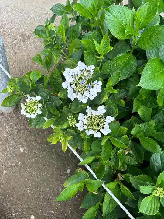 能護寺(埼玉県)