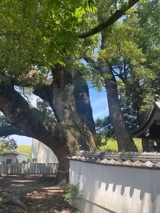 岡中鎮守社(大阪府)