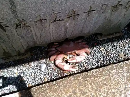 多賀神社（尾張多賀神社）の手水舎