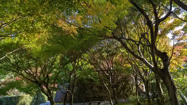 化野念仏寺(京都府)