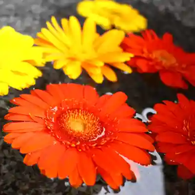三津厳島神社の手水舎