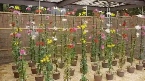 半木神社（賀茂別雷神社境外末社）の庭園