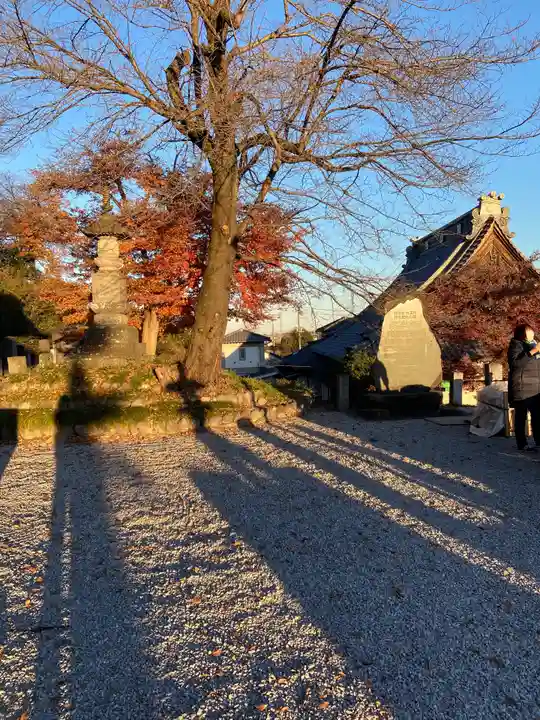 埼玉厄除け開運大師・龍泉寺(切り絵御朱印発祥の寺)のその他建物