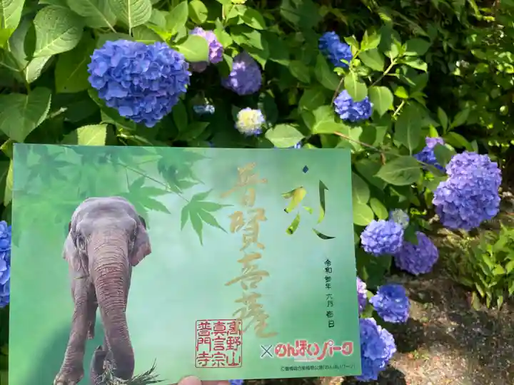 普門寺(切り絵御朱印発祥の寺)の御朱印