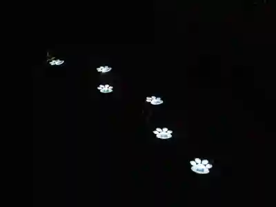 天王山 安楽寺(福井県)