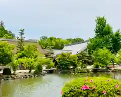 永保寺の建物その他