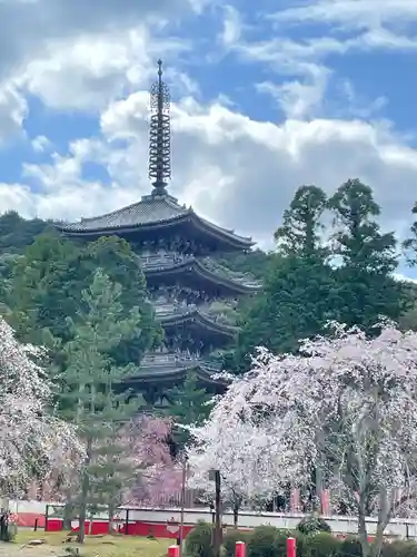醍醐寺(京都府)
