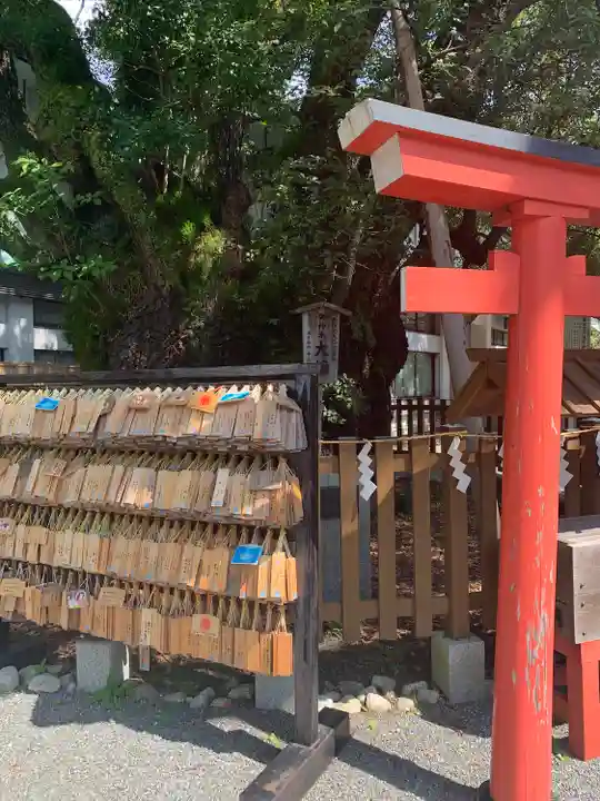 富知六所浅間神社の自然