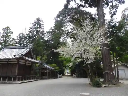 奥石神社(滋賀県)