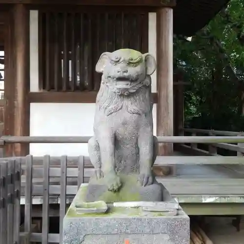 綾瀬稲荷神社の狛犬