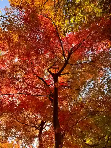 伊達神社(北海道)