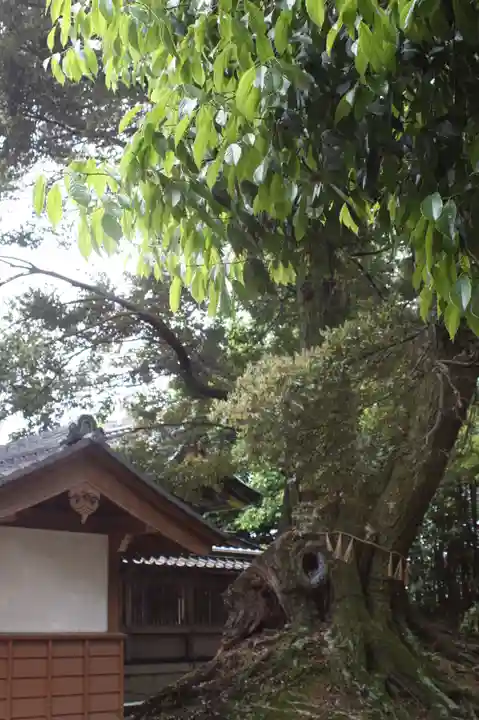 齋神社(滋賀県)