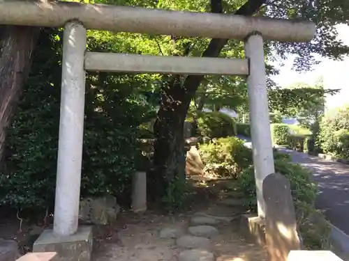 護国寺の鳥居