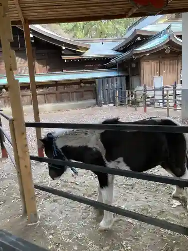 平塚八幡宮(神奈川県)