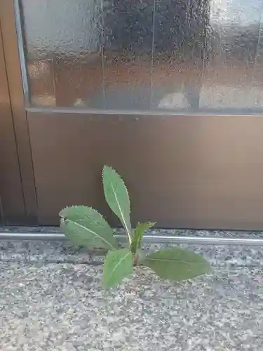 西方山極楽寺(岐阜県)