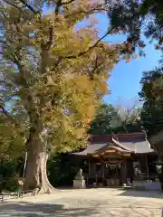 素鵞神社の本殿