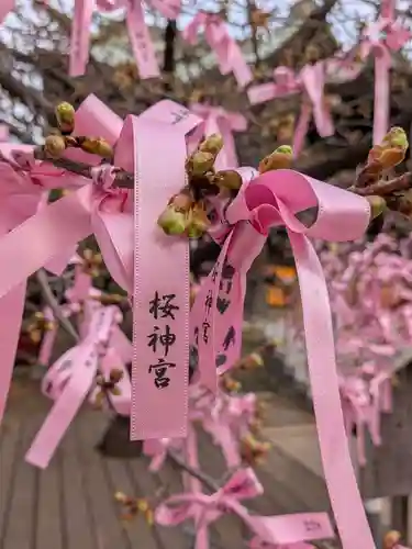 桜神宮(東京都)