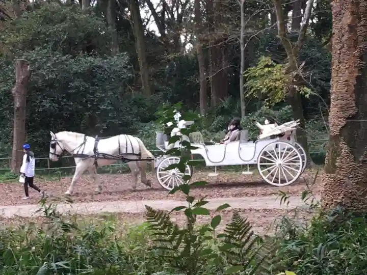 賀茂御祖神社(下鴨神社)の周辺