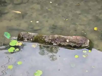 石馬寺(滋賀県)