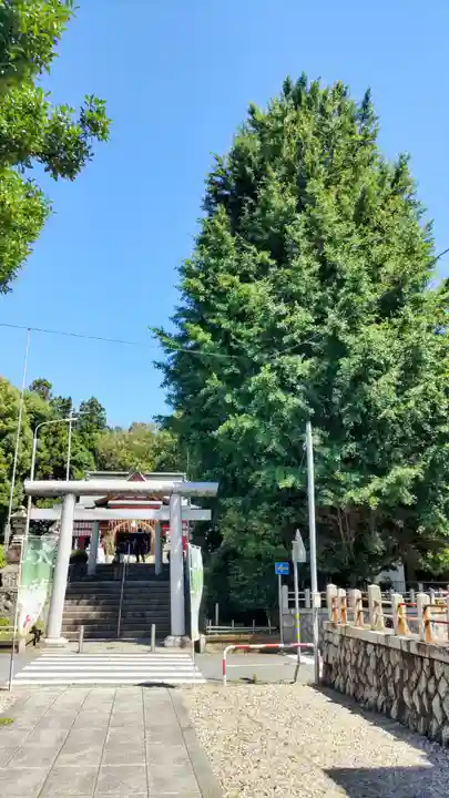 鹿嶋神社(茨城県)