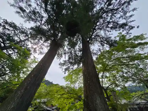 室生寺(奈良県)