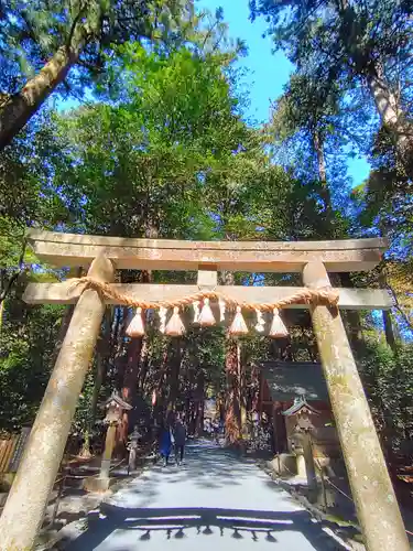 椿大神社の鳥居