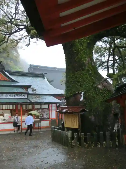 熊野那智大社の自然