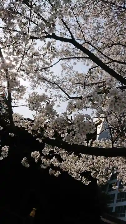 金王八幡宮の自然