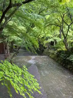 小國神社の{uncategorized: "未分類", other: "その他", undefined: "問題あり", building: "その他建物", grave: "お墓", sacred_gate: "鳥居", guardian: "狛犬", statue: "像", buddha: "仏像", history: "歴史", nature: "自然", garden: "庭園", animal: "動物", pagoda: "塔", temizu: "手水舎", mountain_gate: "山門・神門", sanctuary: "本殿・本堂", subordinate: "末社・摂社", art: "芸術", scenery: "景色", jizo: "地蔵", ema: "絵馬", goshuin: "御朱印", omikuji: "おみくじ", items: "授与品その他", amulet: "お守り", goshuincho: "御朱印帳", eats: "食事", festival: "お祭り", votive_dance: "神楽", shichigosan: "七五三参", wedding: "結婚式", experience: "体験その他", initially: "初詣", around: "周辺", anti_infection: "感染症対策"}
