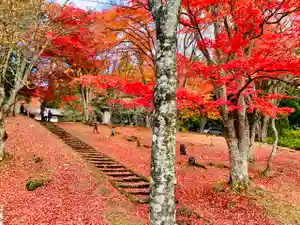 土津神社|こどもと出世の神さまの景色(2020年11月08日(日) 10時10分56秒投稿)
