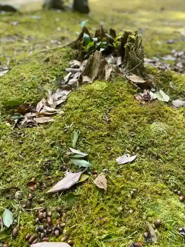 橿原神宮(奈良県)