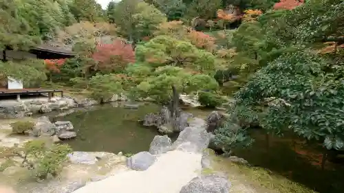 慈照寺（慈照禅寺・銀閣寺）の{uncategorized: "未分類", other: "その他", undefined: "問題あり", building: "その他建物", grave: "お墓", sacred_gate: "鳥居", guardian: "狛犬", statue: "像", buddha: "仏像", history: "歴史", nature: "自然", garden: "庭園", animal: "動物", pagoda: "塔", temizu: "手水舎", mountain_gate: "山門・神門", sanctuary: "本殿・本堂", subordinate: "末社・摂社", art: "芸術", scenery: "景色", jizo: "地蔵", ema: "絵馬", goshuin: "御朱印", omikuji: "おみくじ", items: "授与品その他", amulet: "お守り", goshuincho: "御朱印帳", eats: "食事", festival: "お祭り", votive_dance: "神楽", shichigosan: "七五三参", wedding: "結婚式", experience: "体験その他", initially: "初詣", around: "周辺", anti_infection: "感染症対策"}