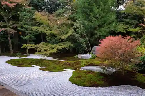 西来院(京都府)