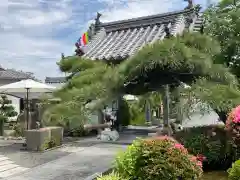 多聞寺の山門