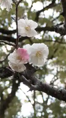  智積院(京都府)