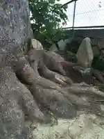 伊勢神社の自然