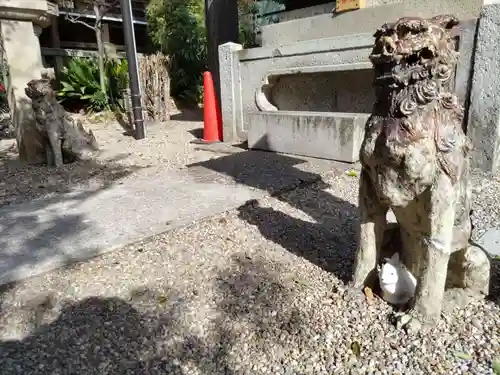 三輪神社の狛犬